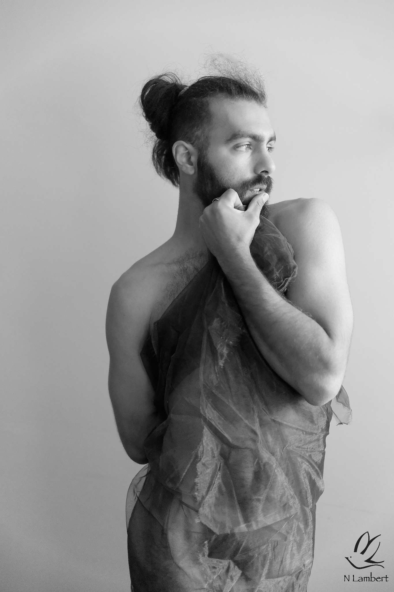 Avedis - Castet-Arrouy - Gers | Rencontre